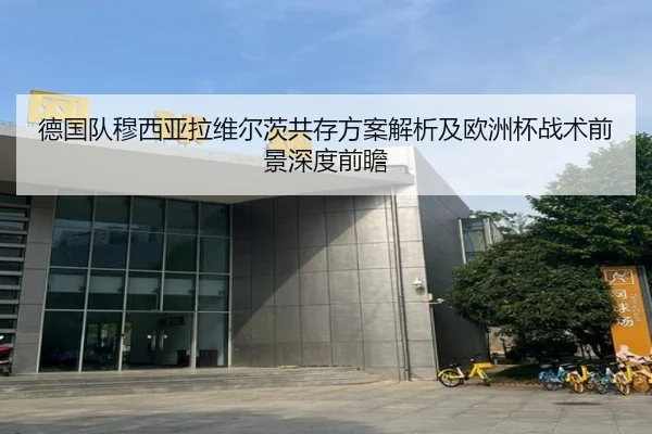 德国队穆西亚拉维尔茨共存方案解析及欧洲杯战术前景深度前瞻